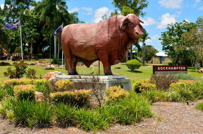 Standbeeld van Santa Gertrudis-stier in Rockhampton, Queensland stock foto Standbeeld van Santa Gertrudis-stier in Rockhampton, Queensland stock foto