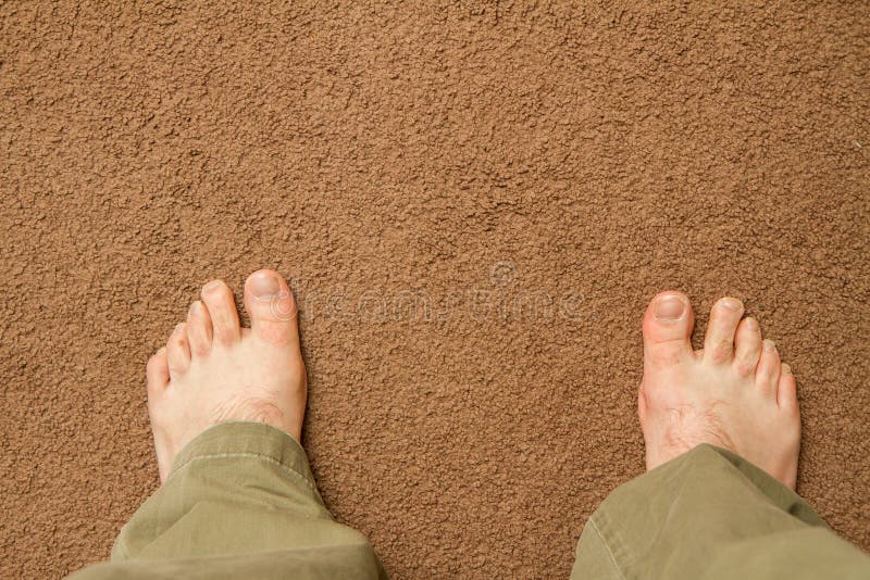 Human Bare Feet Standing On The Floor. One Foot On Carpet And An Stock