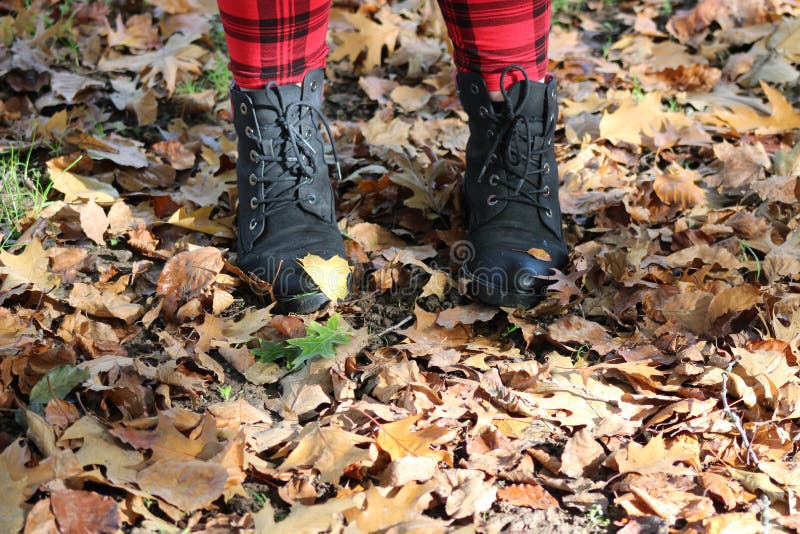 Standing in autumn leaves stock photo. Image of crunchy - 163215648