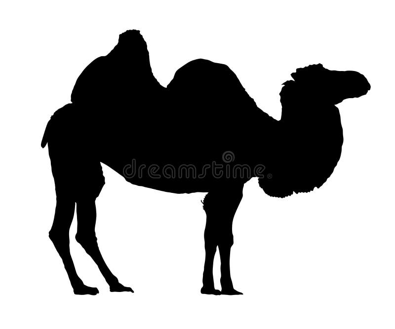 Camel silhouette . stock illustration. Illustration of arabian - 115260541