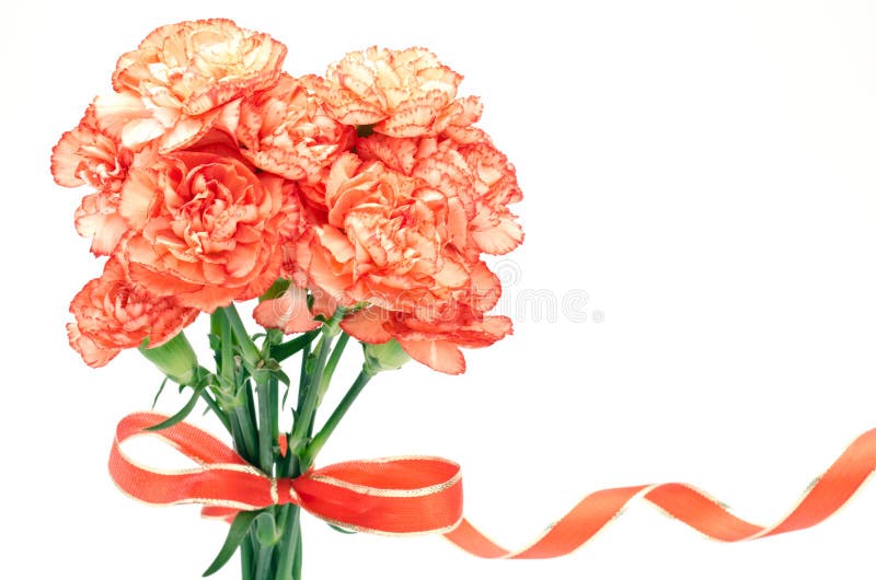 Carnation bouquet stock image. Image of arranged, brilliant 20717485