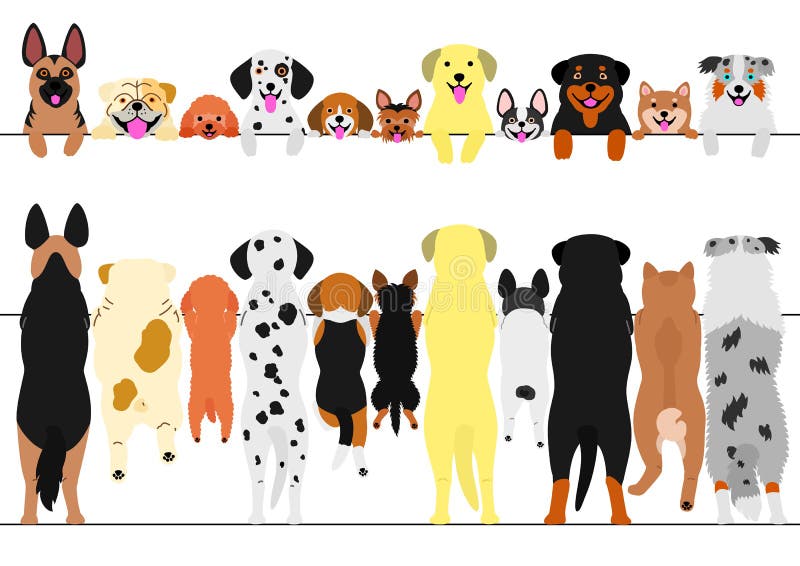 Standing dogs front and back border set