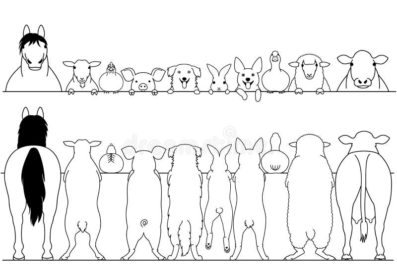 Standing farm animals front and back border set