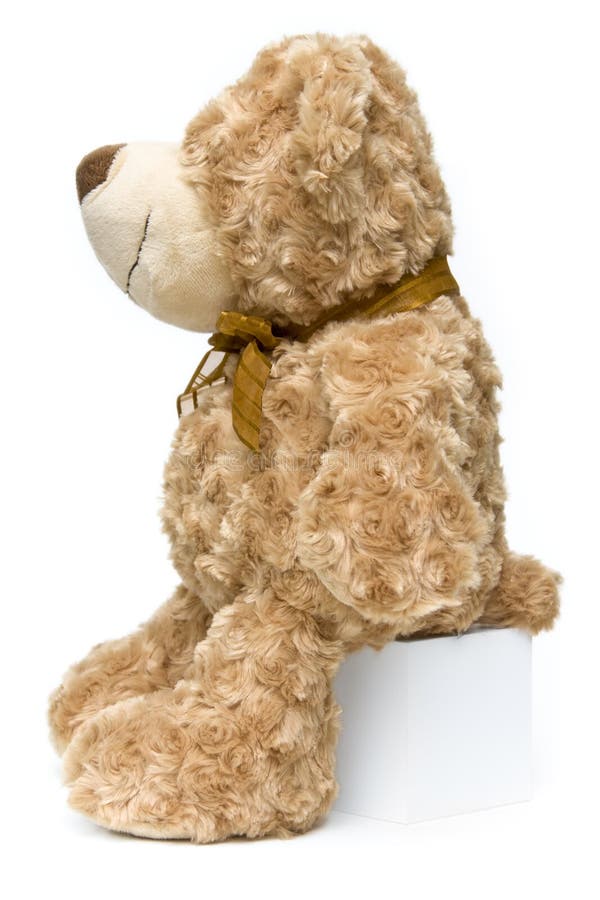 Standing Fluffy Brown Teddy Bear from Side Stock Image Image of plush