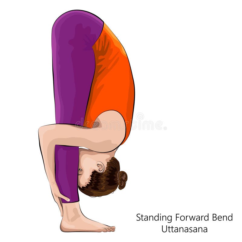 Girl Standing In Yoga Pose Standing Forward Bend Pose Or Uttanasana Asana  In Hatha Yoga Stock Illustration - Download Image Now - iStock