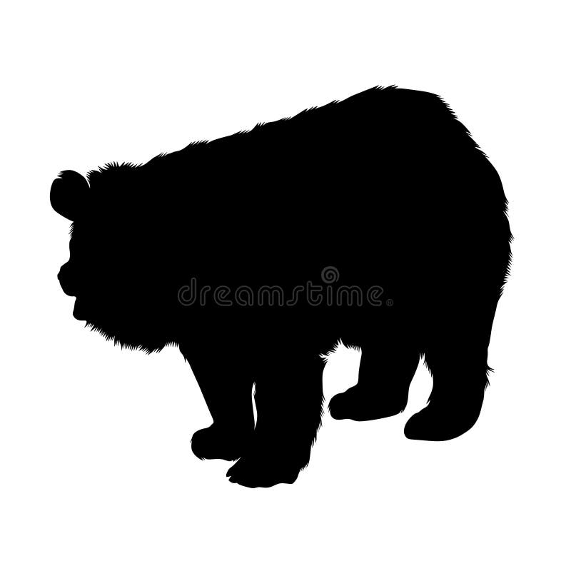 grizzly bear shields download zip grizzly bear shields download zip