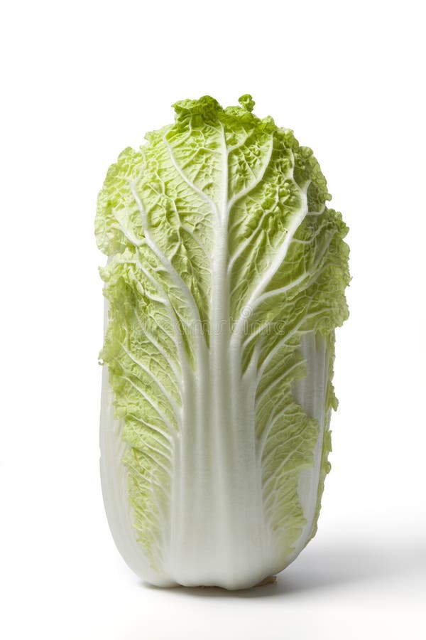 Standing green Chinese cabbage