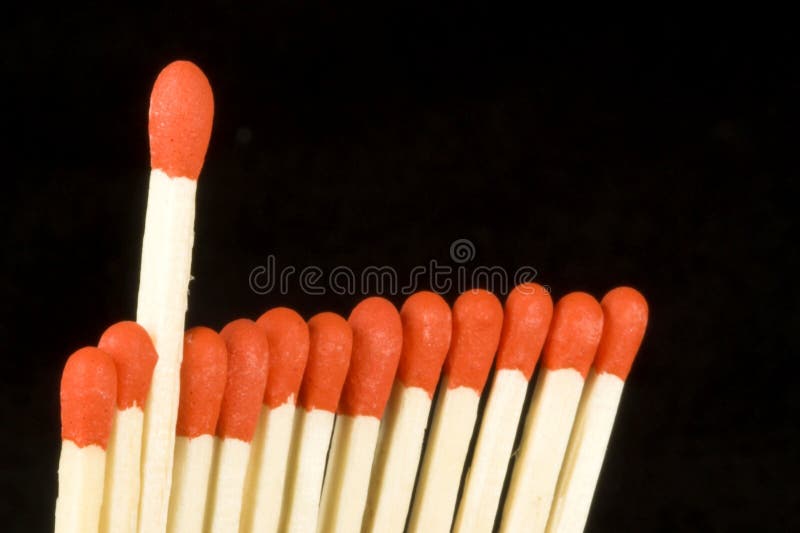 Bible stock photo. Image of isolated, manuscript, read 6309032