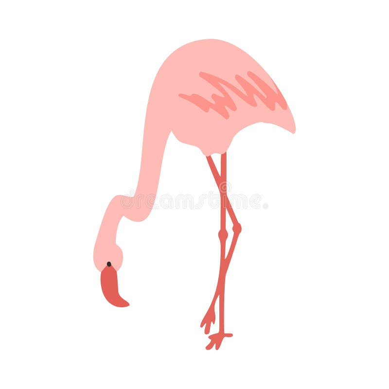 Flamingo Standing and Flying Cute Pale Pink and Black Clipart Stock ...