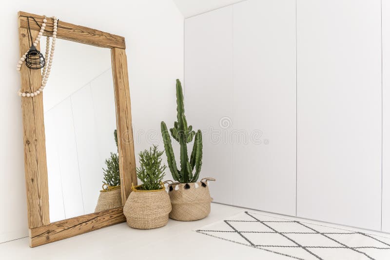 Stanza con lo specchio ed il cactus fotografie stock Stanza con lo specchio ed il cactus fotografie stock