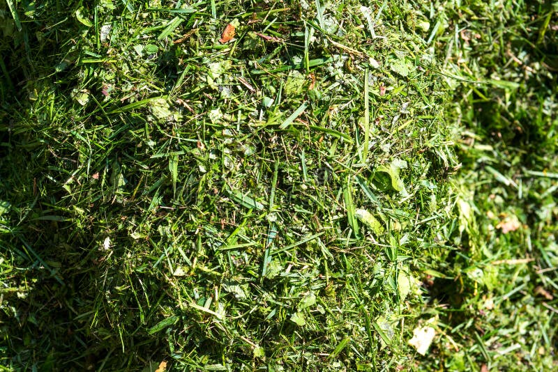 Stapel des geschnittenen Grases von oben stockfotos Stapel des geschnittenen Grases von oben stockfotos