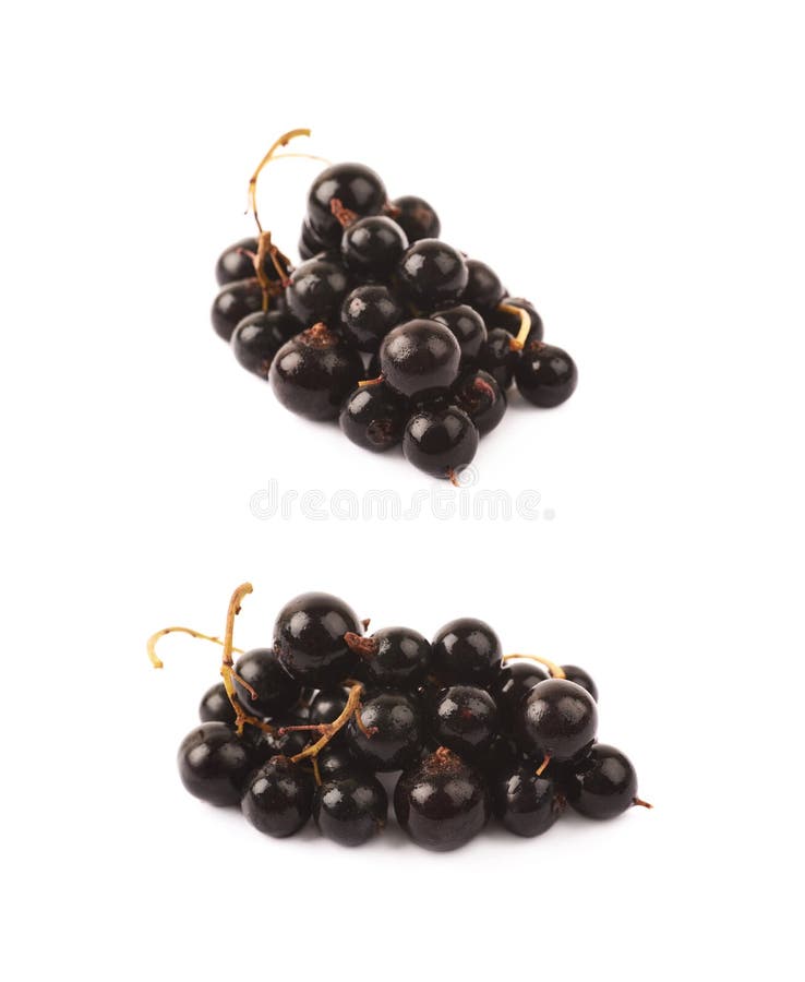 Stapel van geïsoleerde zwarte besbessen royalty-vrije stock fotografie Stapel van geïsoleerde zwarte besbessen royalty-vrije stock fotografie