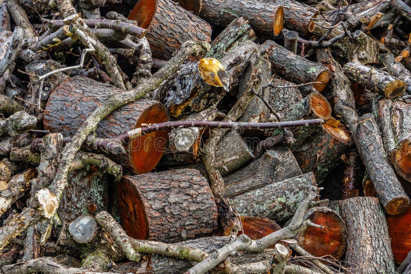 Stapel van hout, boomtak of logboek, stock foto Stapel van hout, boomtak of logboek, stock foto