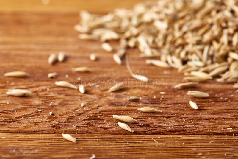Stapel von ungeschälten Haferkörnern auf hölzernem Hintergrund, Draufsicht, Nahaufnahme, Makro, flache Schärfentiefe lizenzfreies stockbild Stapel von ungeschälten Haferkörnern auf hölzernem Hintergrund, Draufsicht, Nahaufnahme, Makro, flache Schärfentiefe lizenzfreies stockbild