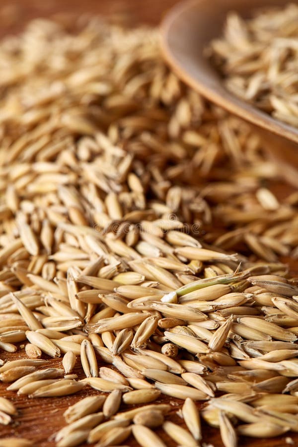 Stapel von ungeschälten Haferkörnern auf hölzernem Hintergrund, Draufsicht, Nahaufnahme, Makro, flache Schärfentiefe lizenzfreie stockfotos Stapel von ungeschälten Haferkörnern auf hölzernem Hintergrund, Draufsicht, Nahaufnahme, Makro, flache Schärfentiefe lizenzfreie stockfotos