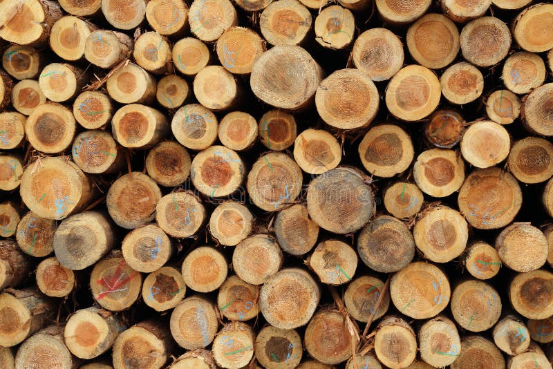 Stapels van hout bij de dokken stock afbeeldingen Stapels van hout bij de dokken stock afbeeldingen