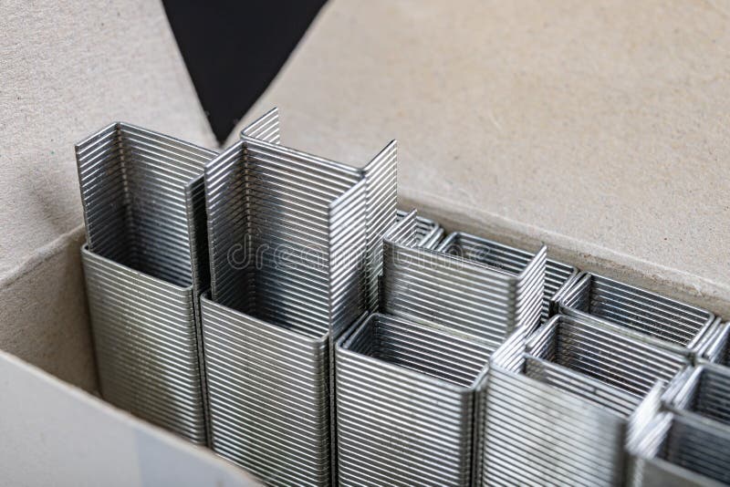 Staples for the Office Stapler in a Cardboard Container. Accessories