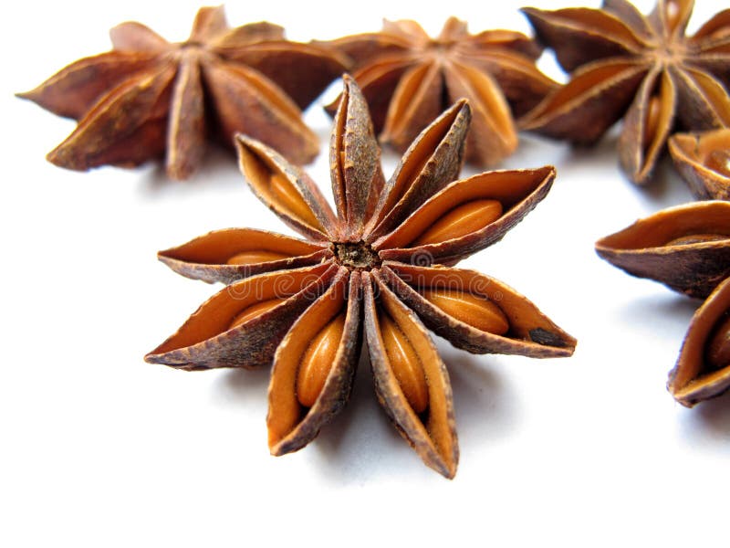 Star Anise royalty free stock images Star Anise royalty free stock images