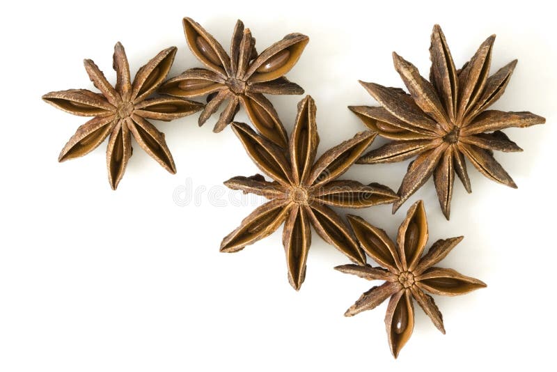 Star anise fruits, isolated