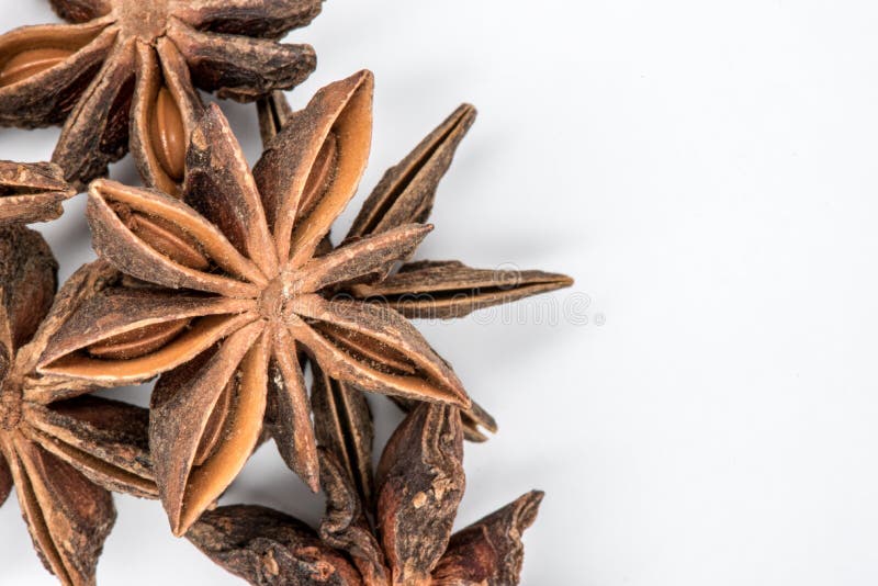 Star Anise Seed Pod On White Stock Image Image of green, flavor