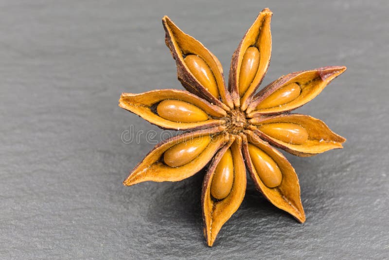 Star anise seed stock image. Image of herb, illicium 144838161