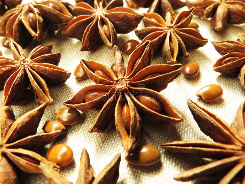 Star Anise stock photo. Image of seed, vegetables, food 46111704