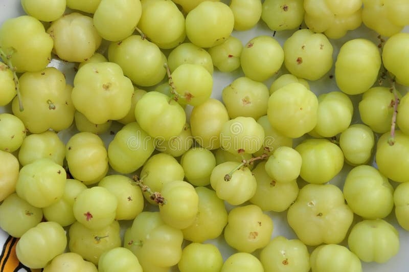 Star gooseberry fruit