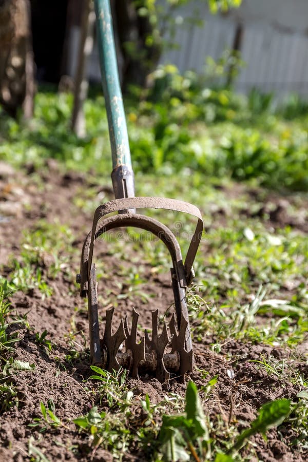 Star Hand Cultivator To Work the Soil, Weed the Garden. the Concept of ...