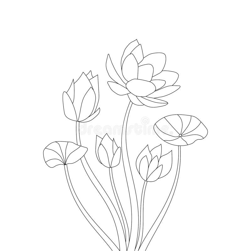 pencil line art design flower coloring page with beautiful sketch for kids  9002246 Vector Art at Vecteezy
