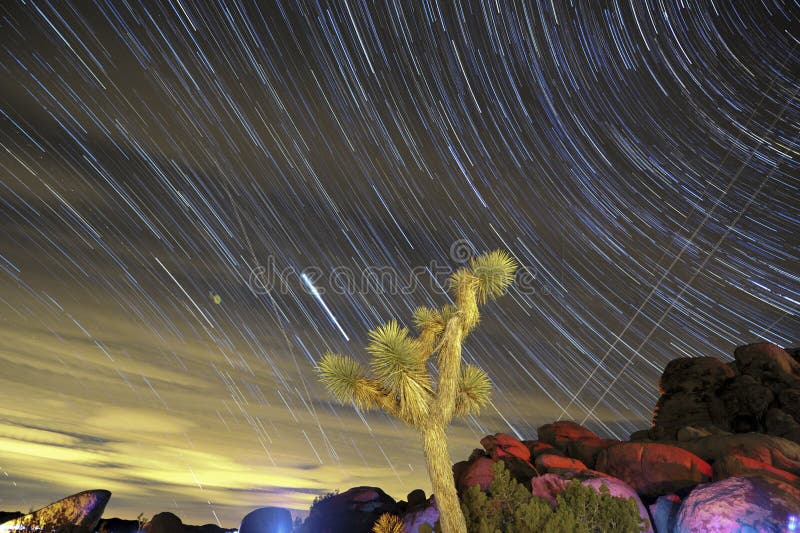Star Trails And Joshua Tree In California Stock Photo Image Of Joshua