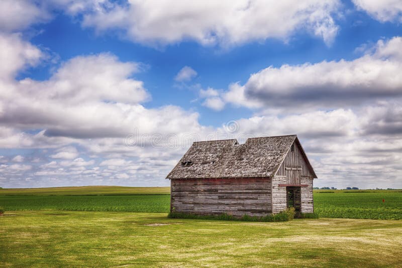 An old shed or similar kind of outbuilding on a farm in central Iowa stands before a field of early corn. An old shed or similar kind of outbuilding on a farm in central Iowa stands before a field of early corn.