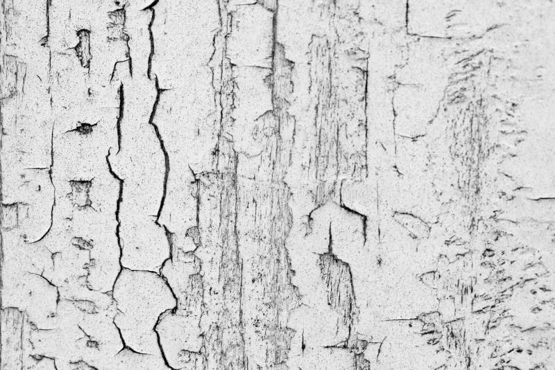 Stara wietrzejąca drewniana tekstura z strugać białą farbę Grunge tło Porysowany biel malujący drewniany tło Zamyka w górę drewni obraz royalty free Stara wietrzejąca drewniana tekstura z strugać białą farbę Grunge tło Porysowany biel malujący drewniany tło Zamyka w górę drewni obraz royalty free