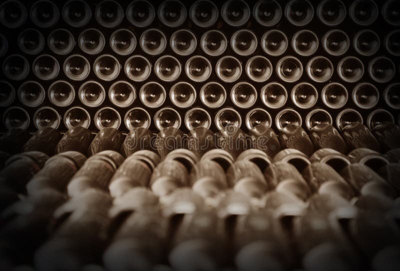 Dark cellar with old bottles of red wine. Dark cellar with old bottles of red wine