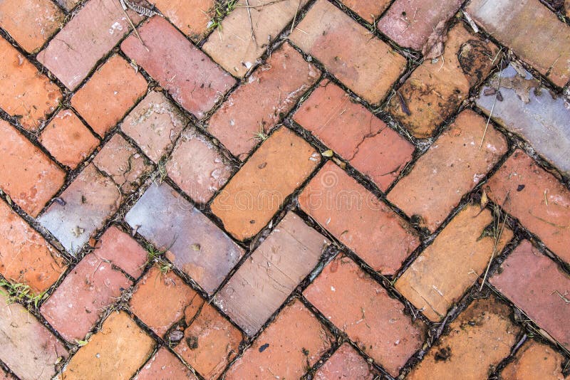 Old tiles at the sidewalk with plants in the joints. Old tiles at the sidewalk with plants in the joints