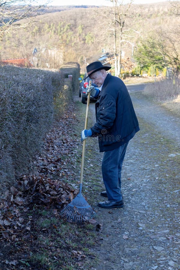 Starego człowieka grabienie spadać opuszcza w ogródzie, starszego mężczyzny ogrodnictwo obrazy royalty free Starego człowieka grabienie spadać opuszcza w ogródzie, starszego mężczyzny ogrodnictwo obrazy royalty free