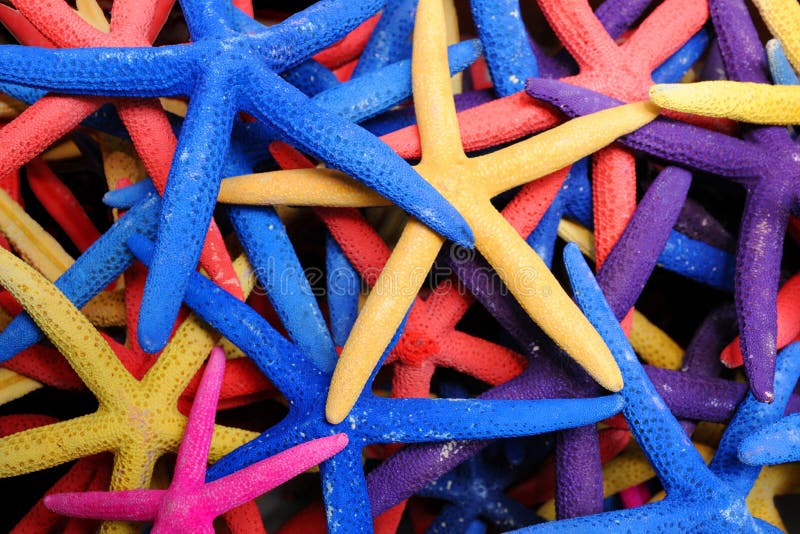 Lots of brightly coloured starfish