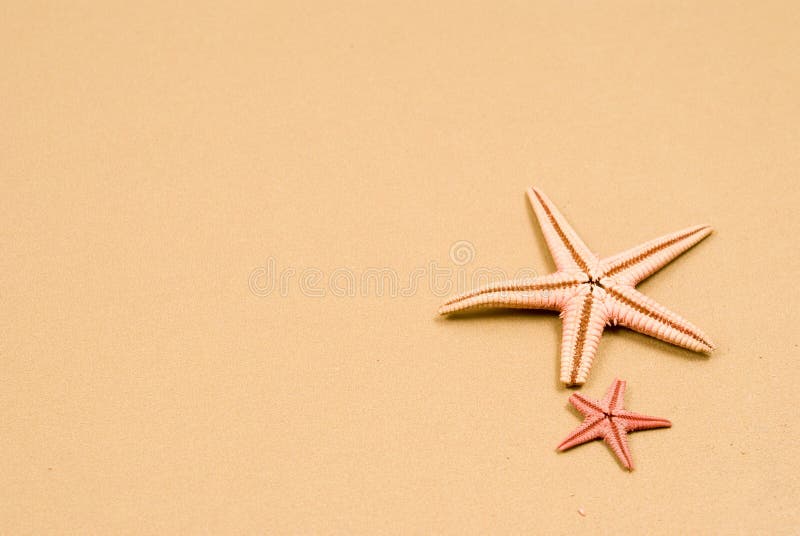 Starfish