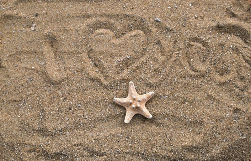 Life Written in Sand with Heart Stock Image - Image of word, seashell ...