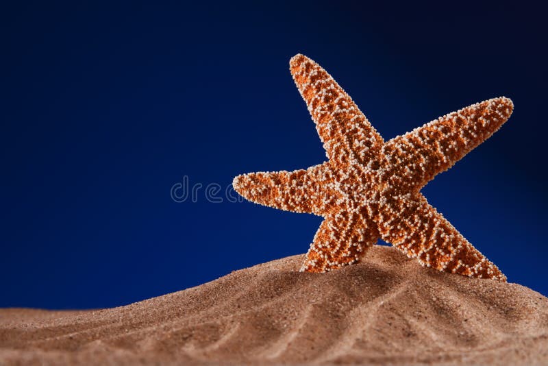 Starfish auf einem Strandsand mit dunkelblauem Hintergrund lizenzfreie stockfotos Starfish auf einem Strandsand mit dunkelblauem Hintergrund lizenzfreie stockfotos