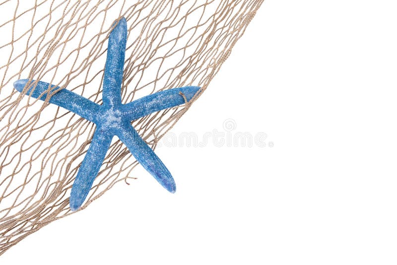 Starfish azuis em uma rede fotos de stock Starfish azuis em uma rede fotos de stock