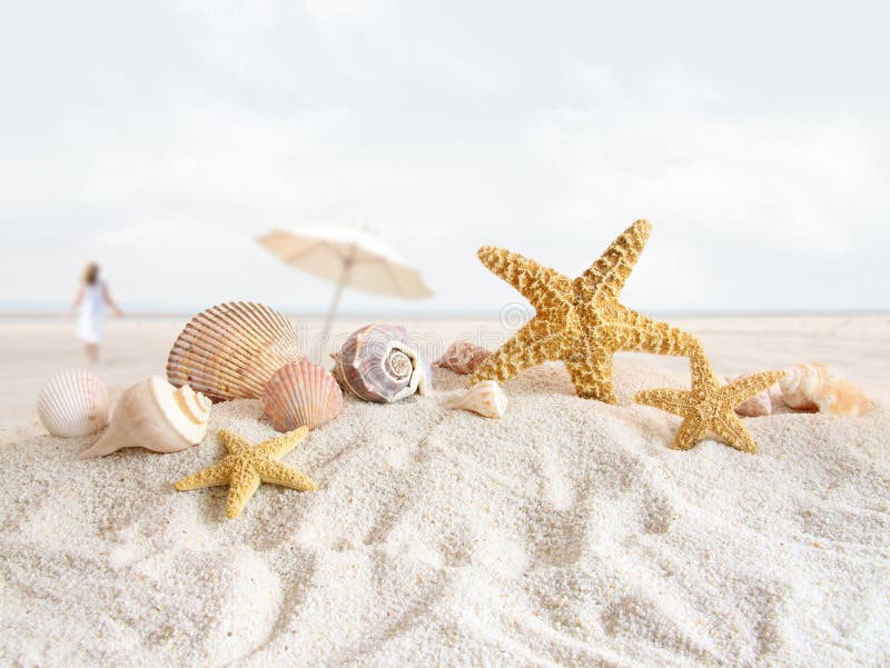Starfish e seashells na praia imagem de stock royalty free Starfish e seashells na praia imagem de stock royalty free