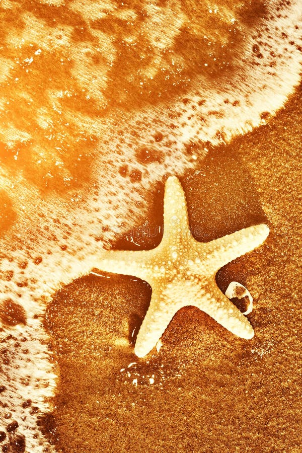 Starfish on the exotic beach, ocean waves at warm sunset. stock photography Starfish on the exotic beach, ocean waves at warm sunset. stock photography