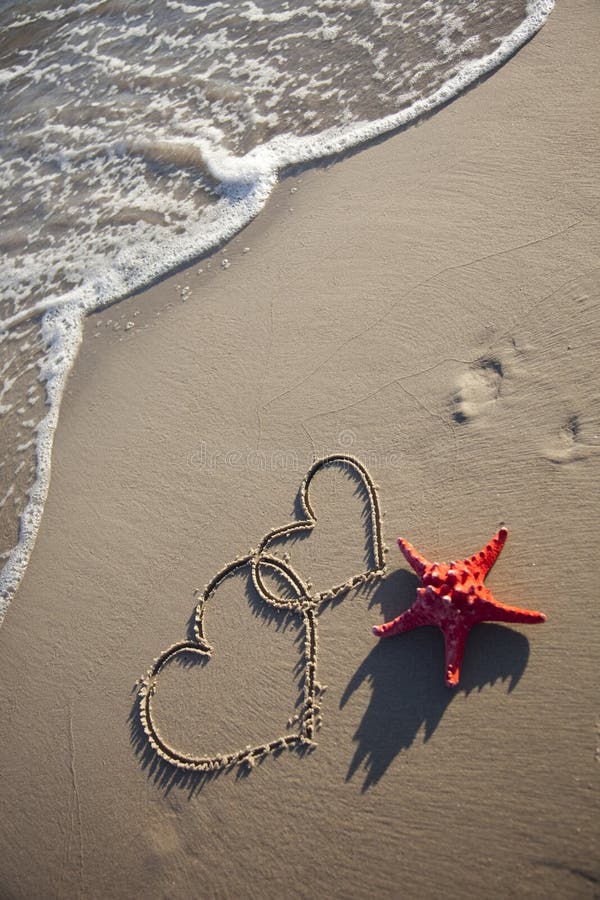 Starfish and hearts stock photo. Image of color, shell - 11247668