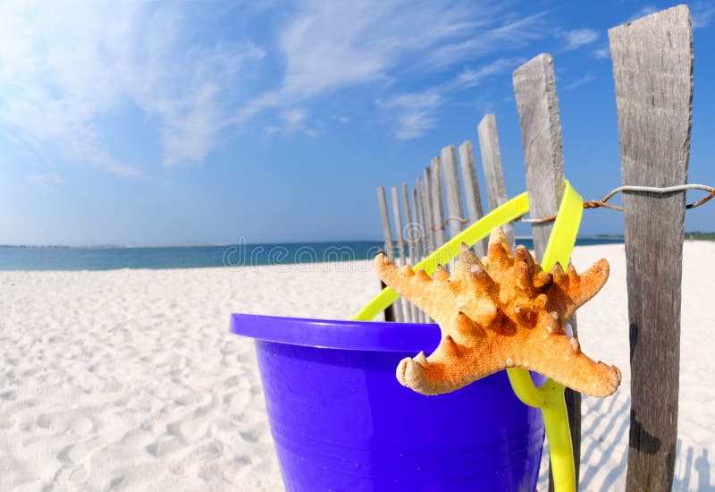 Starfish and pail on beach