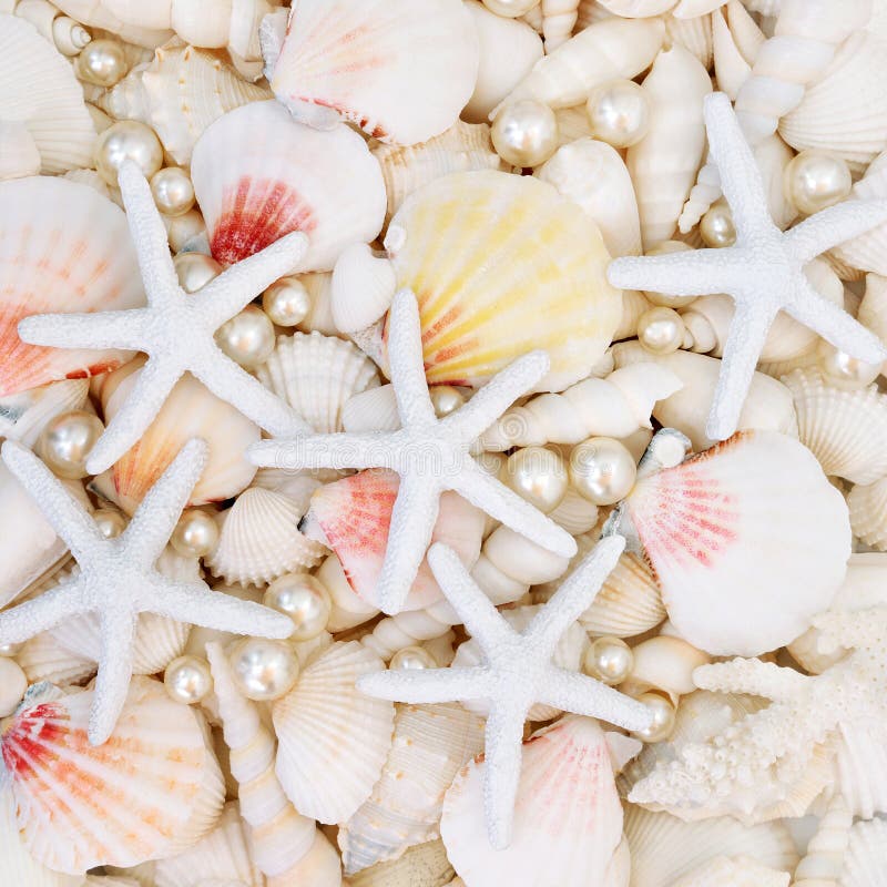 Starfish Pearls and Seashell Background Stock Photo - Image of marine ...