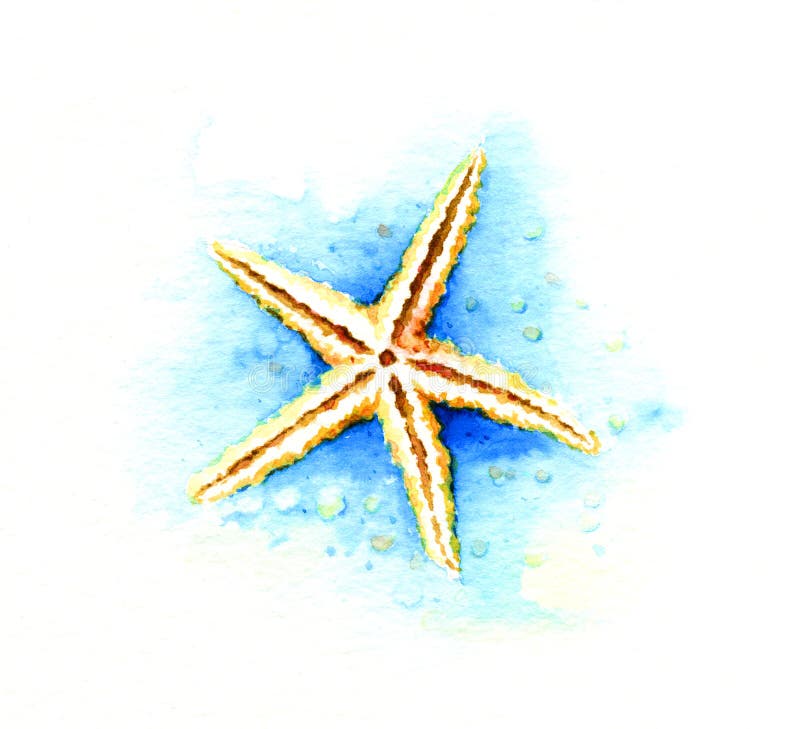 Starfish