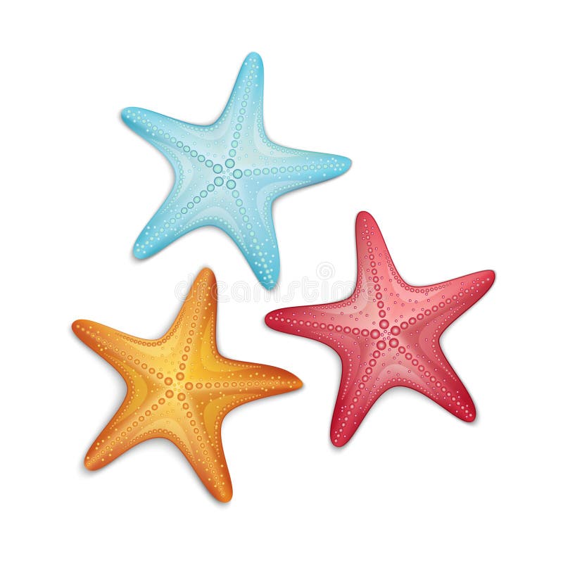 Star Fish Vector Art, Icons, and Graphics for Free Download