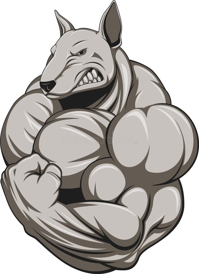 Starker Hund vektor abbildung. Illustration von muskulös 50773691
