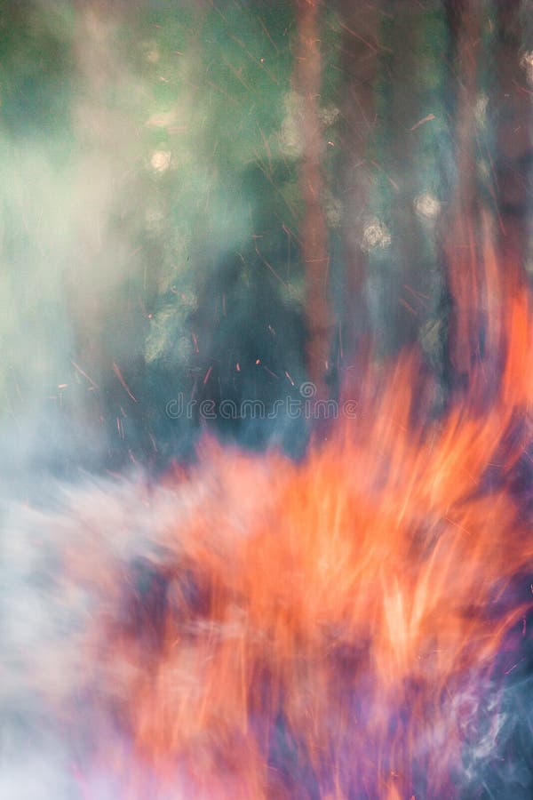 Starkes Feuer im Wald, Rauch, Smog, brannte forestn stockfotografie Starkes Feuer im Wald, Rauch, Smog, brannte forestn stockfotografie