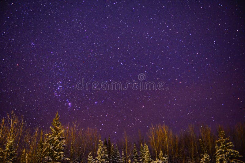 Starlight in winter night